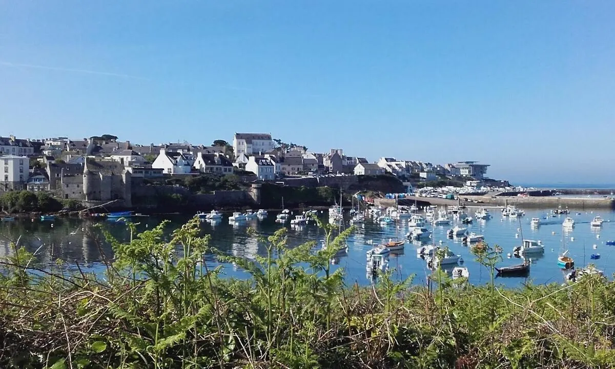 Charmante Petite Maison Bretonne T1Bis Vue Mer Et Nature 普劳戈维林